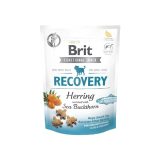 Brit Care Dog Recovery&Herring - Dog treat - 150 g