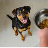 BUTCHER'S Original Beef - dry dog food - 10kg