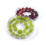 CONCEPT SO1020 Mushroom Vegetable and Fruit Dehydrator