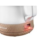 Ceramic electric kettle 1 L Concept RK 0060