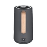 ELECTRIC KETTLE RK3370 CONCEPT