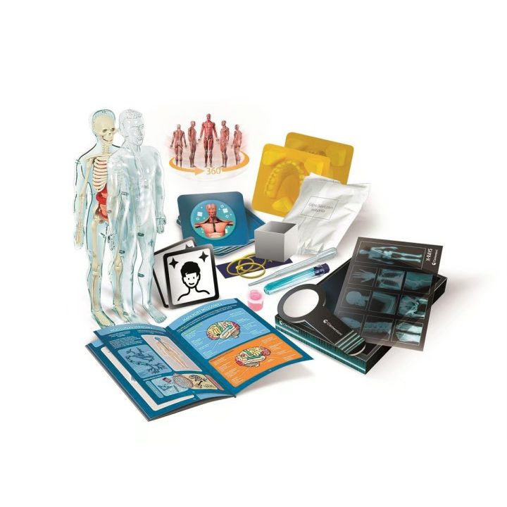 Clementoni Set – Super Anatomy