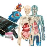 Clementoni Set – Super Anatomy