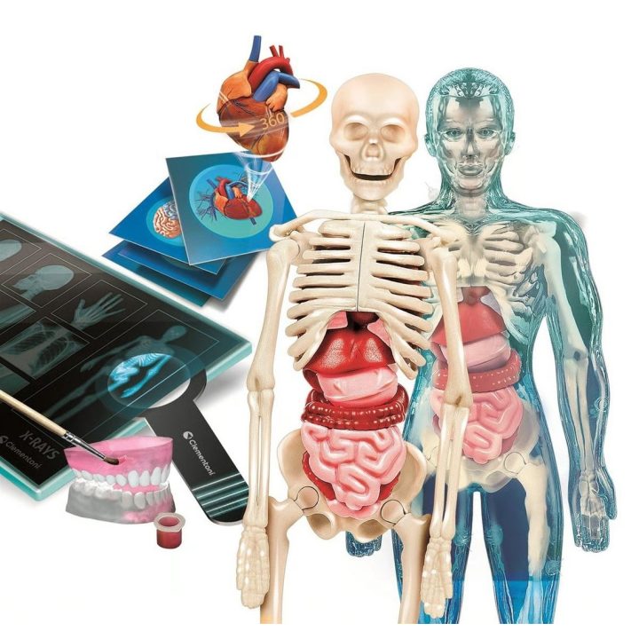 Clementoni Set – Super Anatomy