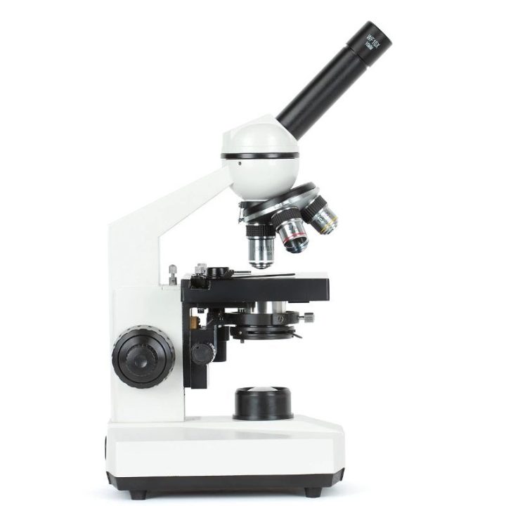 Delta Optical BioStage II Microscope