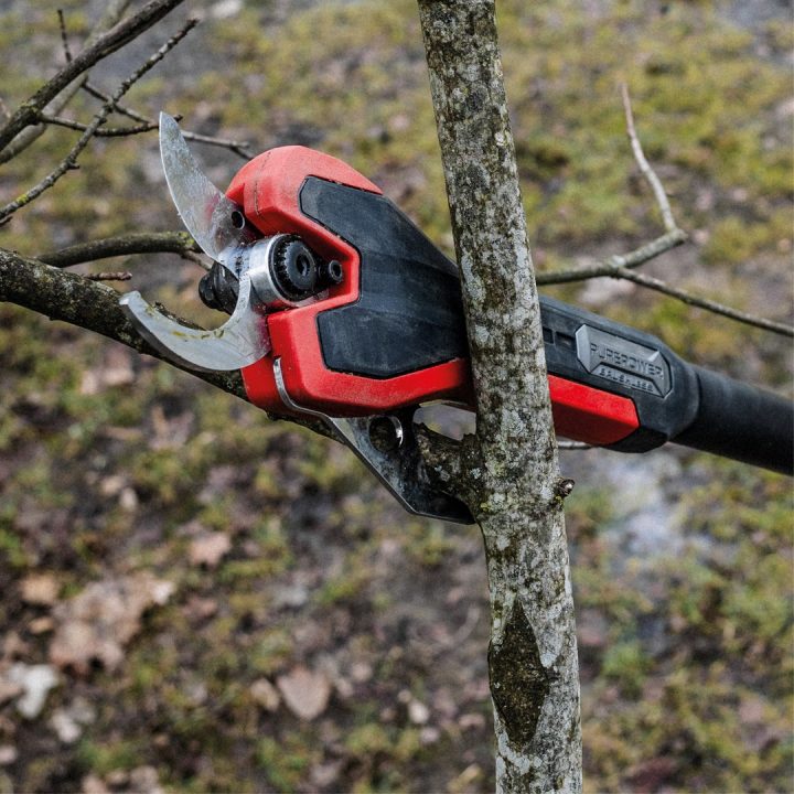 18V GP-LS 18/35 LI BL-SOLO 3408360 EINHELL branch shears