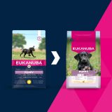 EUKANUBA Puppy L XL Rich in chicken - dry dog food - 15kg