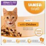 IAMS DELIGHTS Kitten in Jelly box – wet cat food – 8x85g