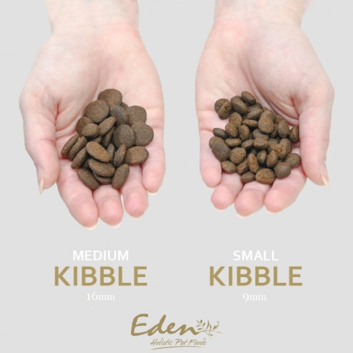 EDEN 80/20 Fish Cuisine Medium & Large - dry dog food - 2kg