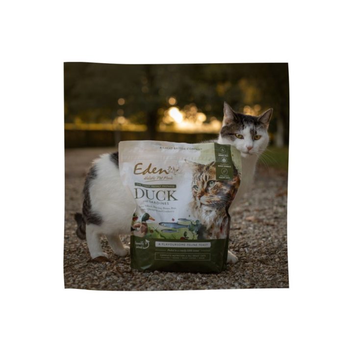 EDEN Duck & Sardine - dry cat food - 1.5 kg