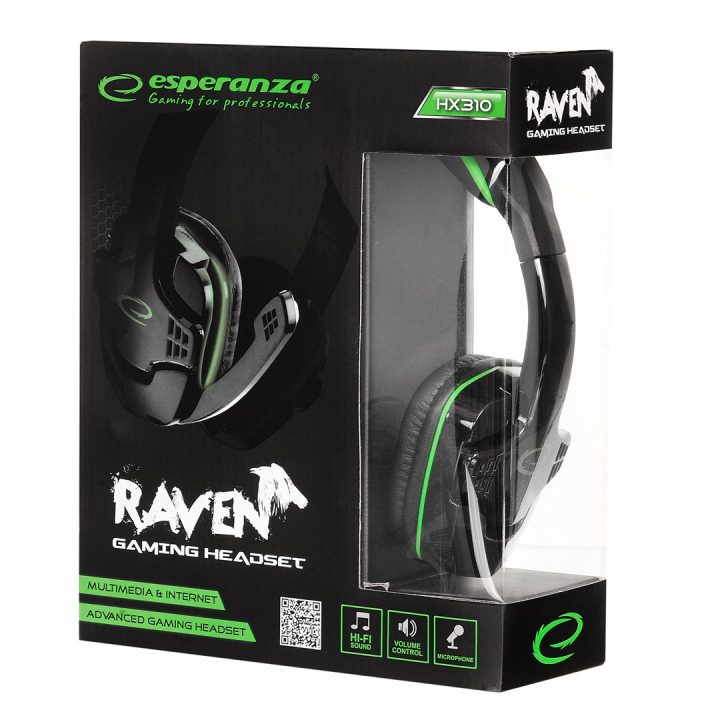 Esperanza EGH310G Headphones with microphone Headband Black Green
