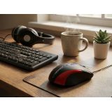 Esperanza EM102R mouse USB Type-A Optical 800 DPI