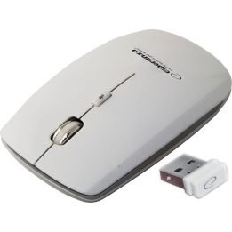 Esperanza EM120W mouse RF Wireless Optical 2400 DPI