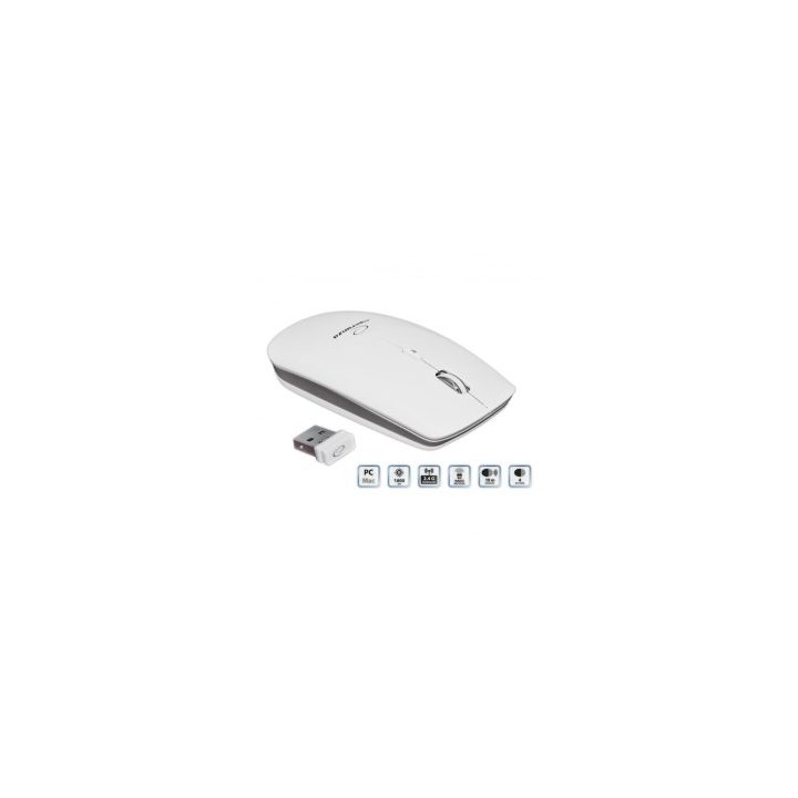 Esperanza EM120W mouse RF Wireless Optical 2400 DPI