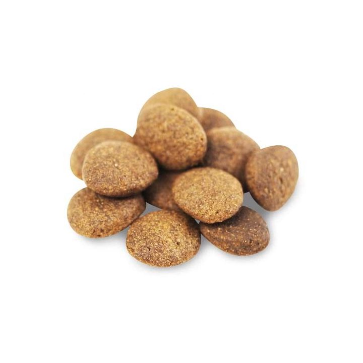 FISH4DOGS Superior Senior Medium Complete Salmon - dry dog food - 12kg
