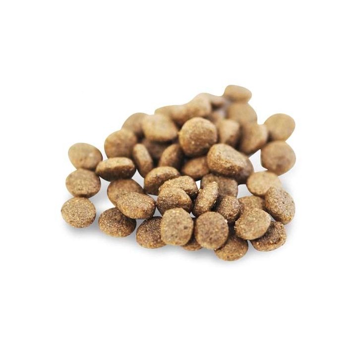 FISH4DOGS Superior Senior S Salmon - dry dog food - 1 5kg