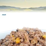 FARMINA N&D CAT PRIME BOAR & APPLE 70g