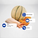 FARMINA N&D Ocean Cat Cod Shrimp Pumpkin and Cantaloupe Melon Kitten - dry cat food - 1.5 kg