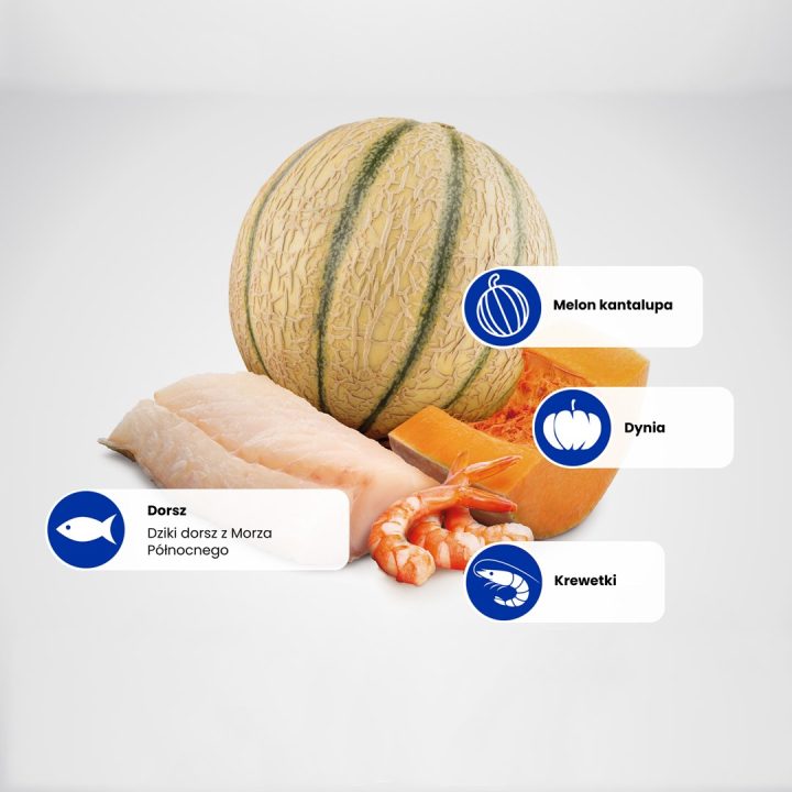 FARMINA N&D Ocean Cat Cod Shrimp Pumpkin and Cantaloupe Melon Kitten - dry cat food - 1.5 kg