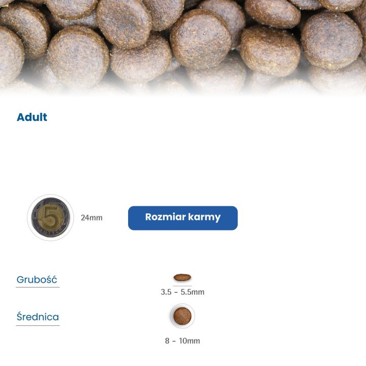 FARMINA N&D Quinoa Digestion Lamb and Fennel - dry cat food - 1 5 kg