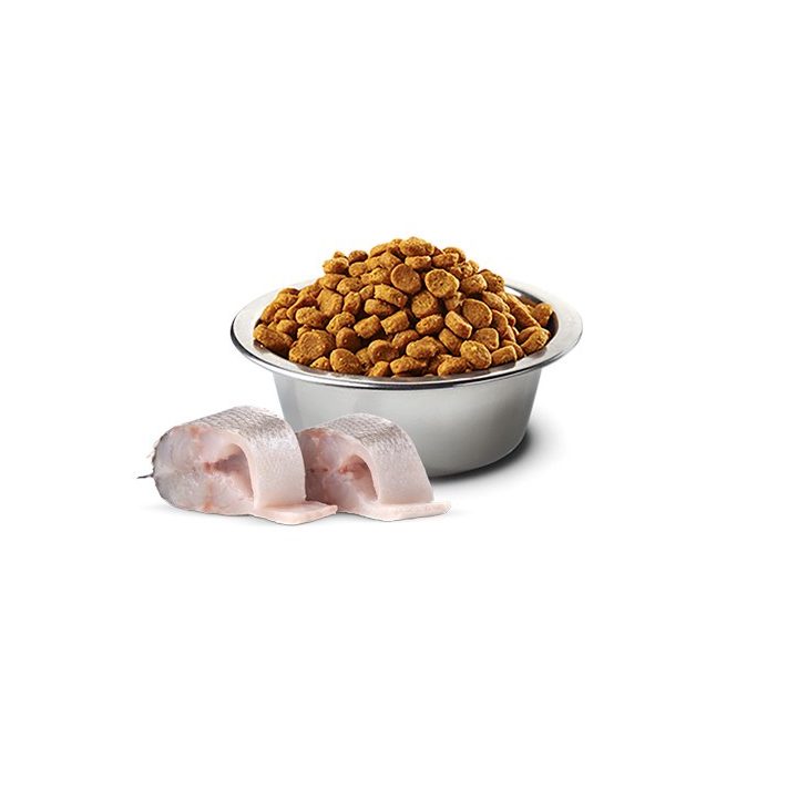 FARMINA N&D Sea Bass Spirulina and Fennel Adult Mini - dry dog food - 2 kg