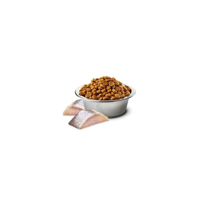 FARMINA N&D Spirulina Herring - dry cat food - 1.5 kg