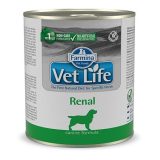 FARMINA Vet Life Canine Renal - wet dog food - 300 g