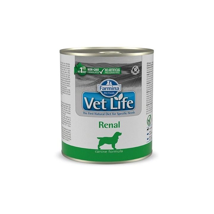 FARMINA Vet Life Canine Renal - wet dog food - 300 g