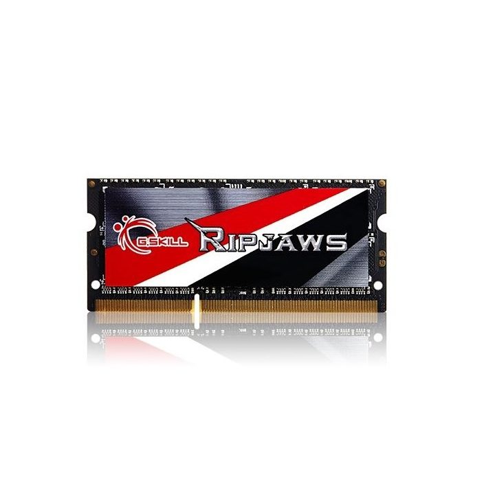 G.Skill 8GB DDR3-1600 memory module 1 x 8 GB 1600 MHz