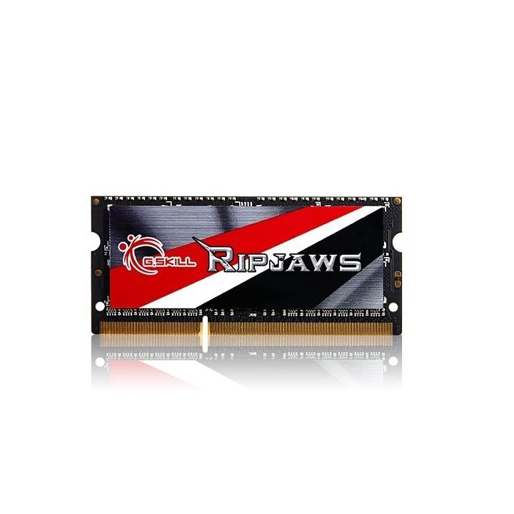 G.Skill 8GB DDR3-1600 memory module 1 x 8 GB 1600 MHz