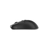 Gembird MUSW2-7B-01 Dual-mode wireless mouse (2.4G + BT) 1600 DPI 7-button black