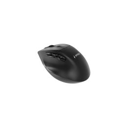 Gembird MUSW3-9B-01 Triple-mode wireless ergonomic mouse (2.4G + BT + USB) 2400 DPI 9-button black