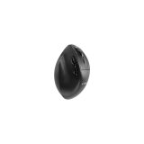 Gembird MUSW3-9B-01 Triple-mode wireless ergonomic mouse (2.4G + BT + USB) 2400 DPI 9-button black