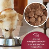 ARKWRIGHT Complete Beef - dry dog food - 15kg