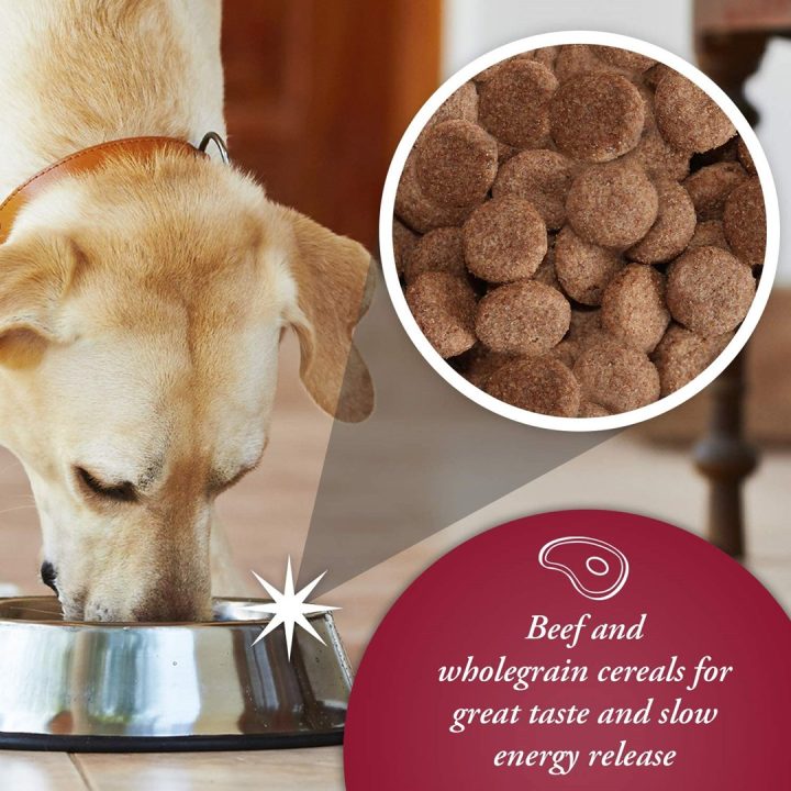 ARKWRIGHT Complete Beef - dry dog food - 15kg