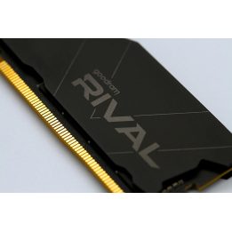 Goodram *DDR4 Rival Deep Black 8GB(1* 8)/3600 CL18 memory module 1 x 8 GB 3600 MT/s 288-pin DIMM