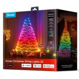 Govee H80C4 Smart string light Wi-Fi/Bluetooth 15 W