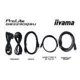 iiyama G-MASTER GB3290QSU-B1 computer monitor 80 cm (31.5 ) 2560 x 1440 pixels Quad HD LED Black