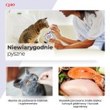 INABA Juicy Bites Shrimp and Seafood - cat treats - 3x11 3 g