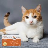 JM SANTE Multiway Vet Duocaps Kidneys - twist-off capsules for kidneys for dogs and cats – 60 pcs