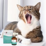 JM SANTE Vet Protector Oral cavity spray – liquid for the oral cavity for dogs and cats - 30 ml
