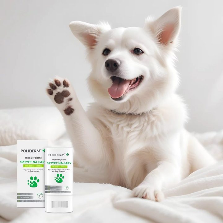 POLIDERM hypoallergenic paw stick for dog and cat – 14.5g