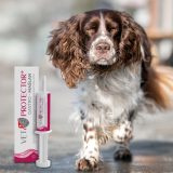 VET PROTECTOR Gastro Butyrate - supplements for dog and cat - 60ml