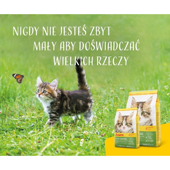 Josera 4032254755005 cats dry food 2 kg Kitten Poultry