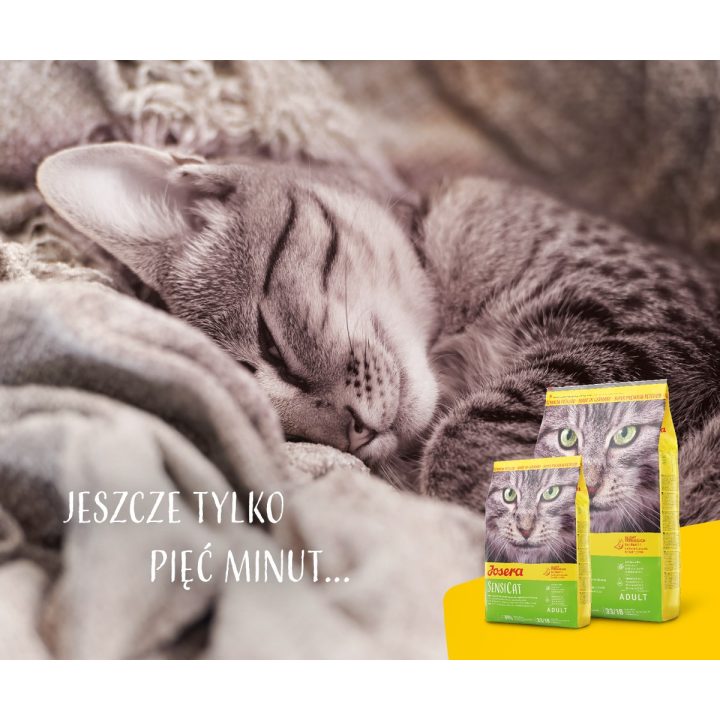 Josera 9510 cats dry food Adult Poultry Rice 10 kg