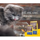 Josera Marinese cats dry food Adult Potato Salmon 2 kg